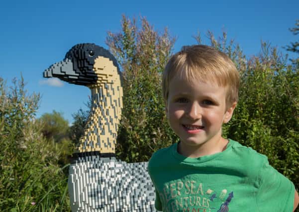 A young boy stands next to Natalie the Lego brick Nene hiding in the wetlands as part of the LEGOAE brick animal trail at WWT Castle Espie Wetland Centre. Natalie took 10,300 bricks and 100 hours to build