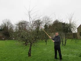 CAFRE adviser Kieran Lavelle will be demonstrating winter pruning at the Loughry Campus Orchard