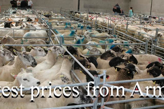 Armoy Mart