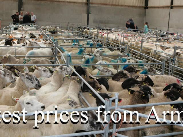 Armoy Mart