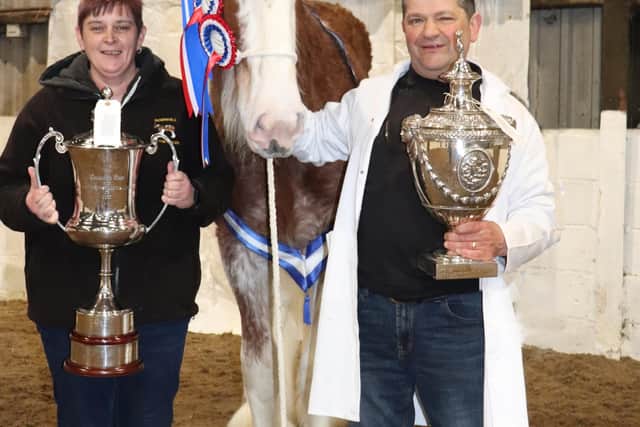 Dpownhill Master Tom with owners Geoffrey and Lesley Tanner - winners of the prestigious Cawdor Cup and the Medcalf Trophy for breeding the winner.
Photo: Jacqueline Pettigrew