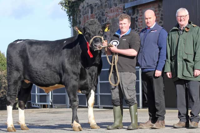 Supreme champion Keely Sudan Siren attracted a top bid of 2,100gns for William and Christopher Black, Coleraine, at Holstein NIâ€TMs Kilrea bull sale. Christopher Black was congratulated by Gareth Bell, Genus ABS, sponsor; and Roy Cromie, Castlefin, County Donegal, judge. Picture: Julie Hazelton