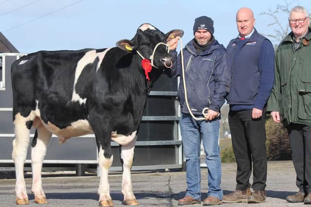 Honourable Mention award went to Beechview Pacman bred by Jason Booth, Stewartstown. Also pictured are sponsor Gareth Bell, Genus ABS; and judge Roy Cromie from Castlefin, County Donegal. Picture: Julie Hazelton