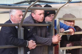 Buyers around the salering at Kilrea Mart's annual March show and sale of pedigree Holstein bulls. Picture: Julie Hazelton