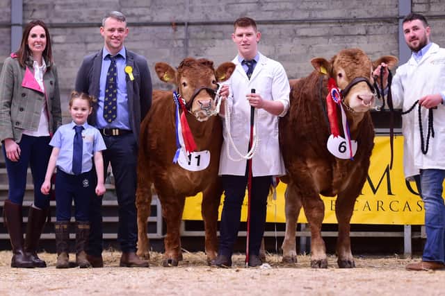 Senior Champion and Reserve photographed with Sponsor Ruth Alexander from Jalex Tractors, Judge Andrew Gammie, Poppy Mulholland from Deerpark Limousins. On the left is Reserve Senior Champion from the Nugent Herd and lead by Mark Reid. Then we have Senior Champion from Deerpark limousins with owner Ryan Mulholland.