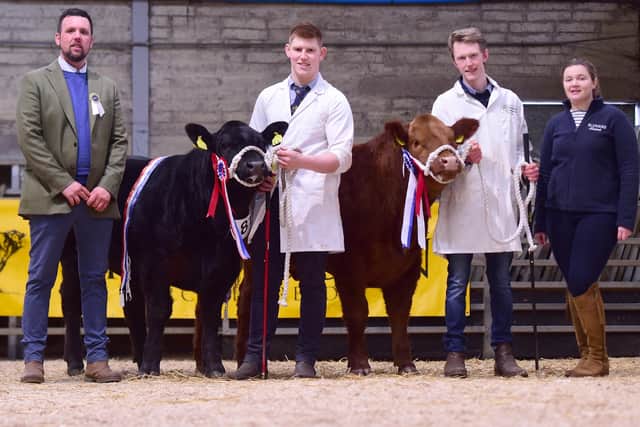 Judge Craig Douglas and Emma Rodgers Representative from The NI Commercial Cattle Club photographed with Commercial Champion and Reserve both coming from JCB Commercials. Lead into the ring by Mark Reid and Jack Smyth.