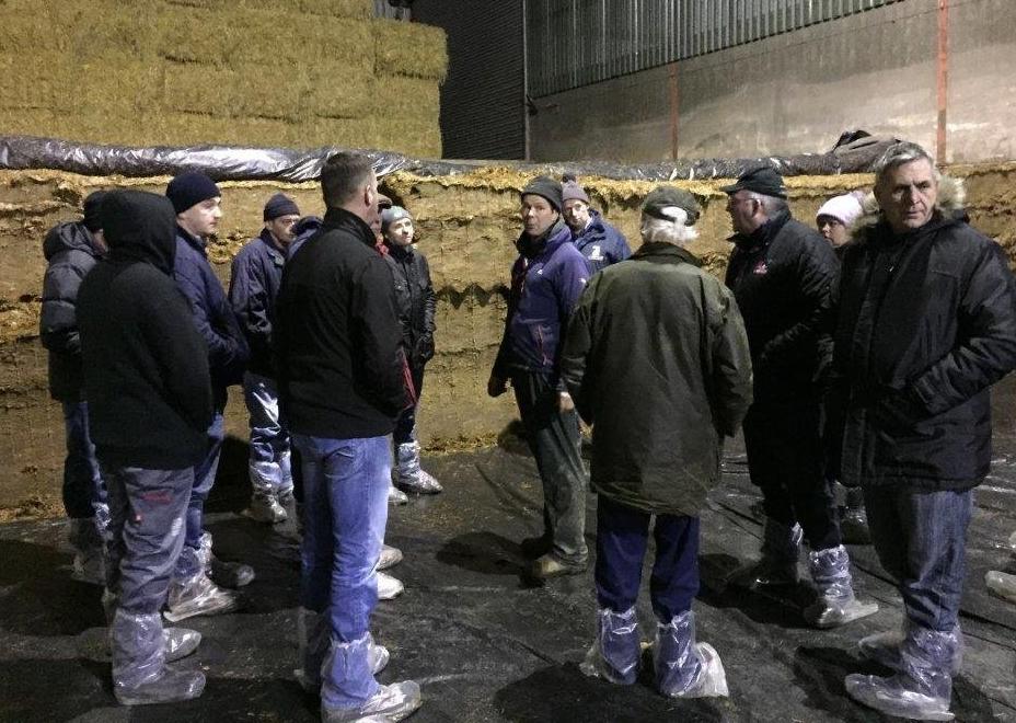 Making decisions for your flock in these highly challenging times