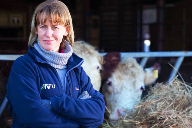 NFU President Minette Batters
