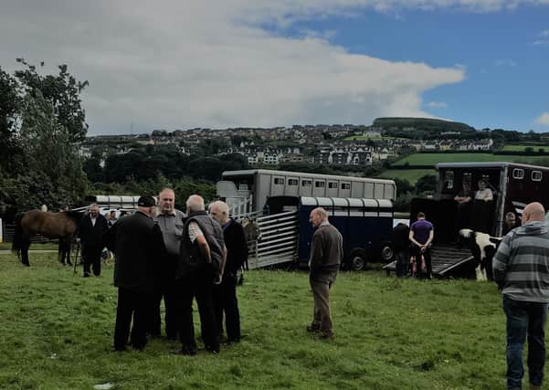 The annual June Horse Fair has been held in Derry’s Brandywell for well over a century, but due to Covid-19 it will now be cancelled for the first time
