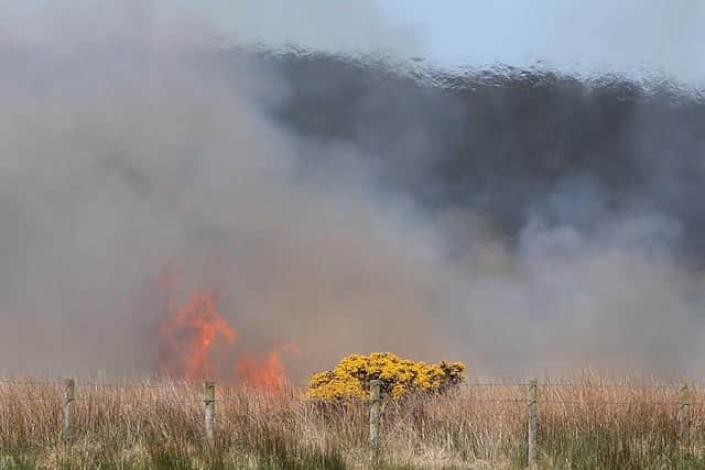 Fire-fighters are battling two large gorse fires in County Antrim.
PICTURE MCAULEY MULTIMEDIA