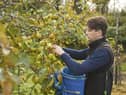 Mac Ivors Cider Co, which produces its Traditional Dry Cider, Medium Cider and Plum and Ginger Cider at its orchards opposite Ardress House in County Armagh.
