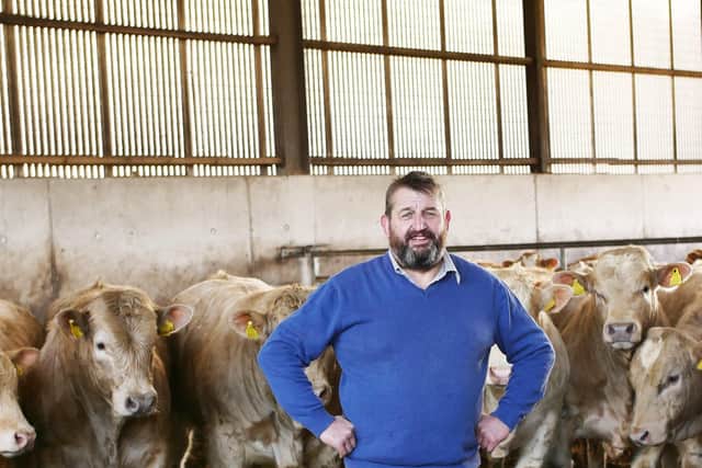 Derek Deane with some of his cattle