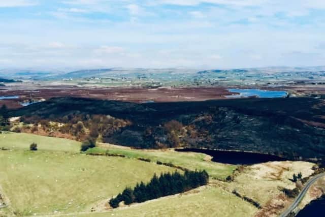 The chair of the Assemblys Agriculture, Environment & Rural Affairs committee Declan McAleer MLA has said that the environmental impact of gorse fires on Areas of Special Scientific Interest (ASSIs) is devastating and to natural habitat and wildlife which could take years to recove