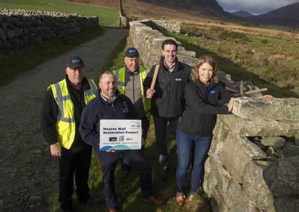 Mourne Wall Restoration Project team