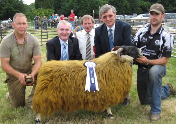 Pictured in July 2010 is a Mourne Blackface owned by Paul McEvoy, Kilcoo, also included in the picture are handler Donal Kane, Kilcoo, Randal Hayes, chairman NISA, Jim Aiken, judge, John Flynn, Northern Bank, and Paul McEvoy