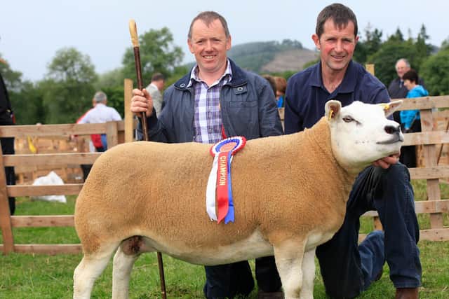 At the Clogher Show in 2010 is the supreme champion Texel  which was owned by Springhill Texels from Castlederg. John Foster of Springhill Texels is pictured here with John Greene, Culdaff, Co Donegal, judge of the Texel classes. Picture: Columba O’Hare