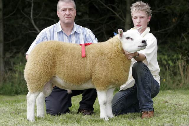 Pictured in August 2008 are Robin Trimble and his son John, Ardaragh, Newry, with Curley Megastar which sold for 7,500 guineas at the Northern Bank Texel show and sale held at Dungannon Mart by the Texel Sheep Society