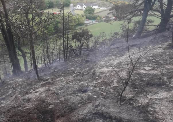 There have been a significant number of fires on peatlands in Northern Ireland over recent weeks. This fire was at Castlewellan