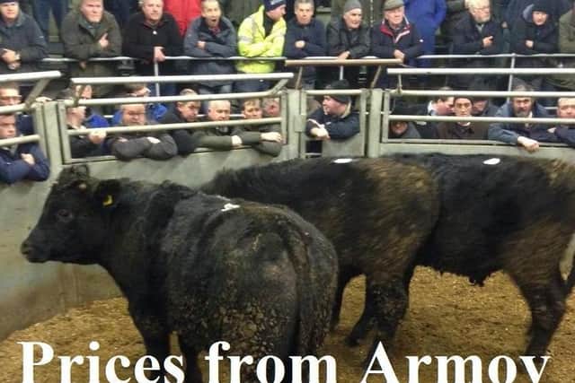 Armoy Mart