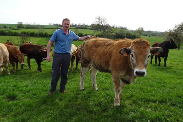 David Henderson pictured with a batch of his replacement heifers.