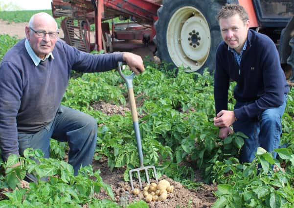 The digging of Comber Earlies is now underway on the Reagh Island farm
of Hugh Chambers (left). He was joined by Wilson's Country agronomist
Stuart Meredith, just as the harvest was about to start