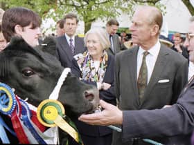 The Duke of Edinburgh inspects a Champion Bull at the 1996 Balmoral Show. Picture: News Letter archives
