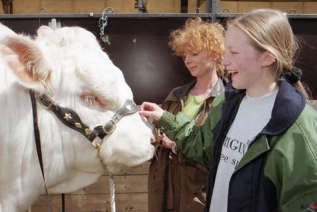 Andrea O'Hare from Londonderry and Aoife Thomas from Belfast make friends with Bassett Judge, a Charolais bull from Ballymena at the 1996 Balmoral Show. Picture: News Letter archives