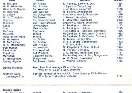 List of cups and awards at NIPA Ladies Night 1981.