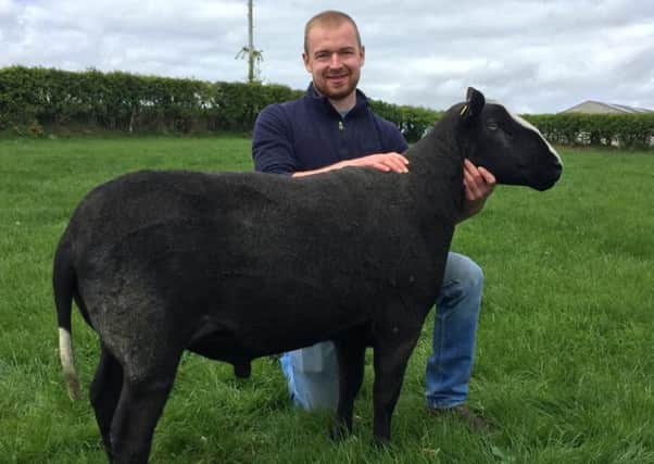 Jonny Watson from Ballymena who completed his Level 2 Agriculture Business Operations course in sheep production at Greenmount Campus in March this year pictured on his home farm