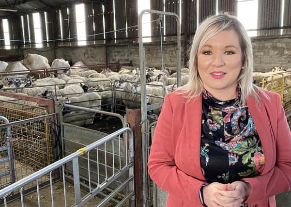 Michelle O’Neill said: “I visited the Sperrins sheep farm of Hugh Devine recently alongside our agriculture spokesperson, Declan McAleer MLA and West Tyrone MP "rfhlaith Begley to see at first hand the challenges facing farmers at this time.”