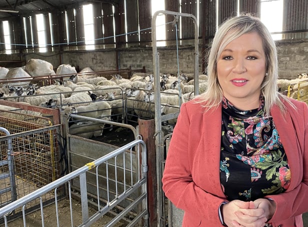Michelle O’Neill said: “I visited the Sperrins sheep farm of Hugh Devine recently alongside our agriculture spokesperson, Declan McAleer MLA and West Tyrone MP "rfhlaith Begley to see at first hand the challenges facing farmers at this time.”