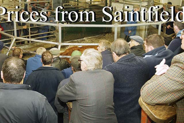 Saintfield Mart