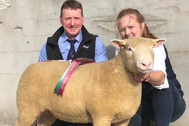 Ellen alongside judge Richard Currie, from the NI Dorset club at the Omagh SHow and Sale in August