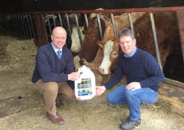Paul Elwood, from HVS Animal Health (left), discussing plans for housing with Paul O’Hare, owner of Mayobridge Pharmacy in Co Down