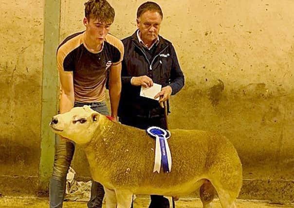Stephen McCollam judge at the NI Texel Sheep Breeder’s Club show and sale in Hilltown hands over the reserve champion rosette to Jack Walmsley White Water Farm Texels.