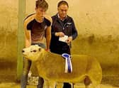 Stephen McCollam judge at the NI Texel Sheep Breeder’s Club show and sale in Hilltown hands over the reserve champion rosette to Jack Walmsley White Water Farm Texels.