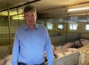 Kilkeel pig farmer Trevor Shields says the UK industry is in desperation due to a shortage of workers to process pigs.