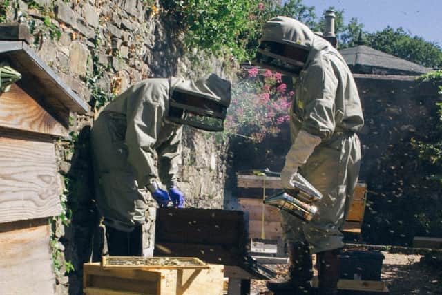 The Bee Haven Beekeepers in action.