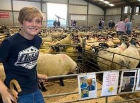 Zak is pictured at the Armoy Sheep Sale where he sold a ewe donated by his grandfather, Joe Dickson.