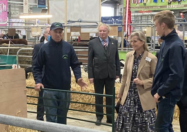 Patrick and Thomas McAreavey introducing some of their prize-winning stock from their Ballinderry Herd to the Duchess of Wessex at Balmoral Show 2021.