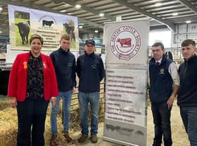 Libby Clarke, Chair of RUAS Cattle Committee, is pictured chatting to NI Dexter Cattle members Thomas and Patrick McAreavey, Ryan Lavery and Ben Neill.