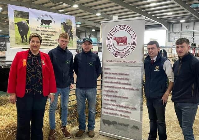Libby Clarke, Chair of RUAS Cattle Committee, is pictured chatting to NI Dexter Cattle members Thomas and Patrick McAreavey, Ryan Lavery and Ben Neill.