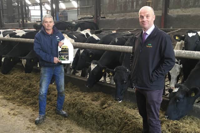 Paul Elwood, from HVS Animal Health, (right) on farm with Saintfield milk producer Dessie Rutherford