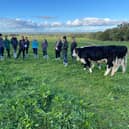 Members of the Multi-Species Swards for Beef & Sheep EIP Group talking to scientists from UCD during their visit to the UCD's farm at Lyons Estate as part of their recent study tour.