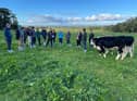 Members of the Multi-Species Swards for Beef & Sheep EIP Group talking to scientists from UCD during their visit to the UCD's farm at Lyons Estate as part of their recent study tour.
