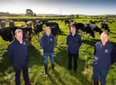 Neville Graham, Dale Farm Head of Farmer Services and Andrew McMordie, United Feeds pictured with Ballygowan farmers Samuel and Thomas Connolly. The Connolly farm makes use of all Dale Farm and United Feeds services, and is among the farms to have its carbon footprint measured.