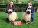 David Morgan, from Caltech Crystalyx, congratulates Anna Millar, fromCookstown in Co Tyrone, on the tremendous success she has achieved overthe past number of years in breeding Valais Blacknose sheep