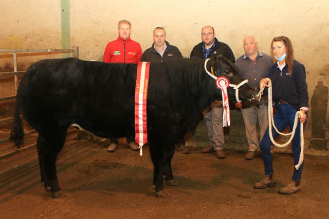 Housewives Choice presented by Jade Tumilty sold for £3300 to Jim Quail Butchers.