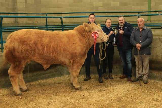 Overall Champion and 1st place in the beef bullock class presented by Arthur and Alise Callaghan sold for £3150 to Cunningham's Butchers Kilkeel.