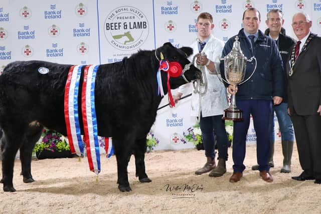 The Supreme Champion and the recipient of the coveted Allams Cup at the 2021 Royal Ulster Premier Beef & Lamb Championships in partnership with principal sponsor Bank of Ireland was awarded to JCB Commercials from Crossgar with their Limousin sired Heifer, Precious. On the night, it was sold for the top price of £7,500 to Kitson & Sons Butchers in Yorkshire.  Pictured (L-R) Handler Mark Reid, Richard Primrose, Bank of Ireland, Minister Edwin Poots and Billy Martin, Royal UIster Agricultural Society President